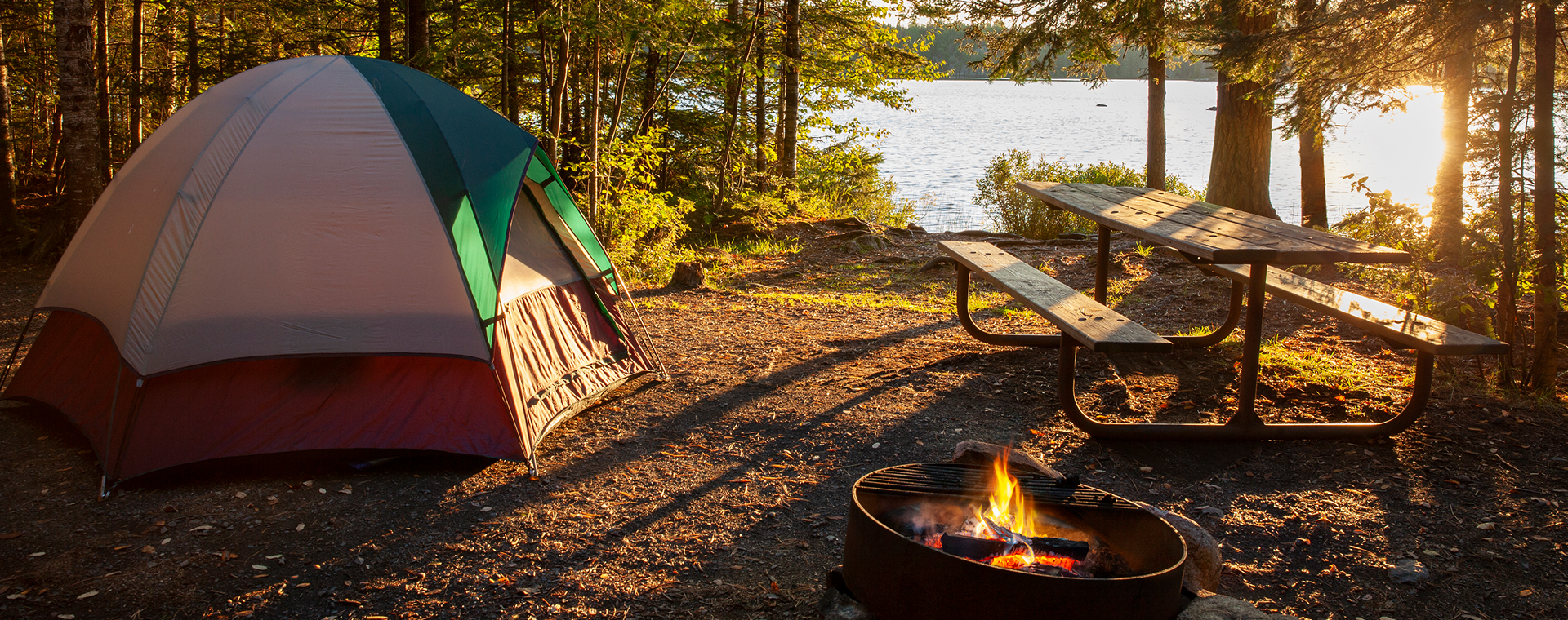 Kamperen bij de boswachter: hier kun je overnachten in de natuur
