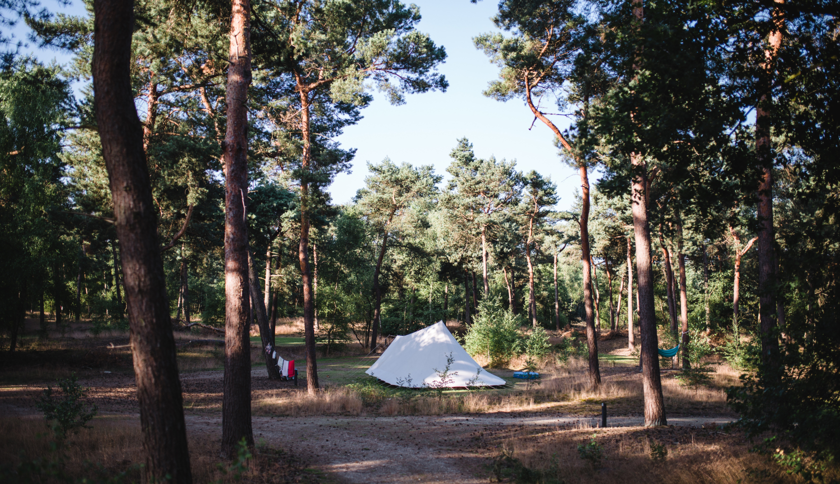 Een kampeerveld in het bos met een enkele tent 