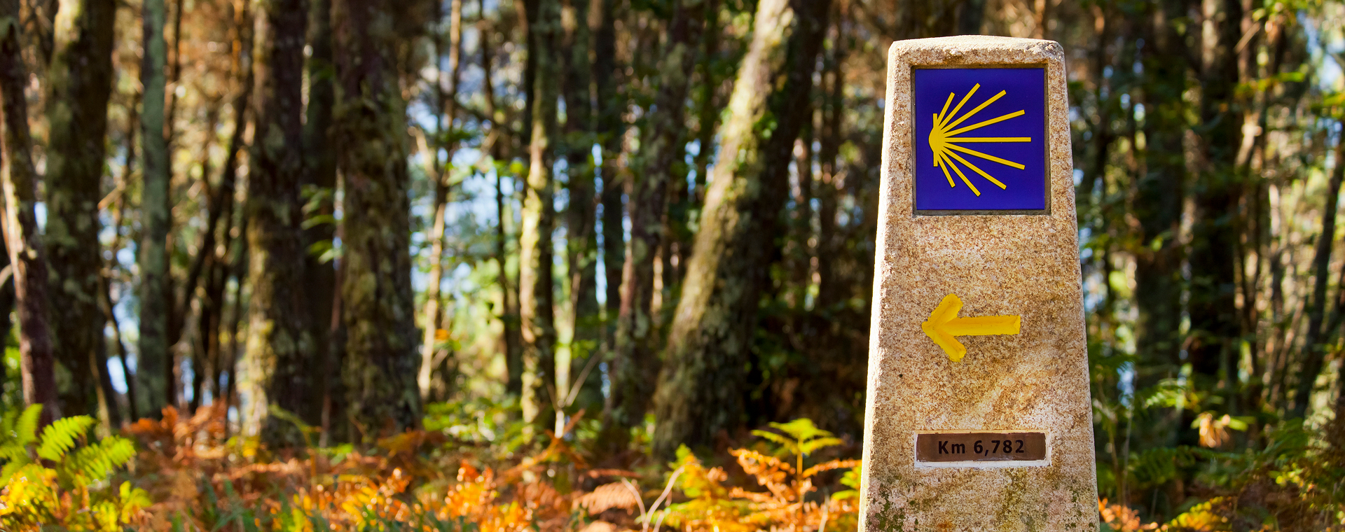 De 5 mooiste pelgrimstochten in Europa