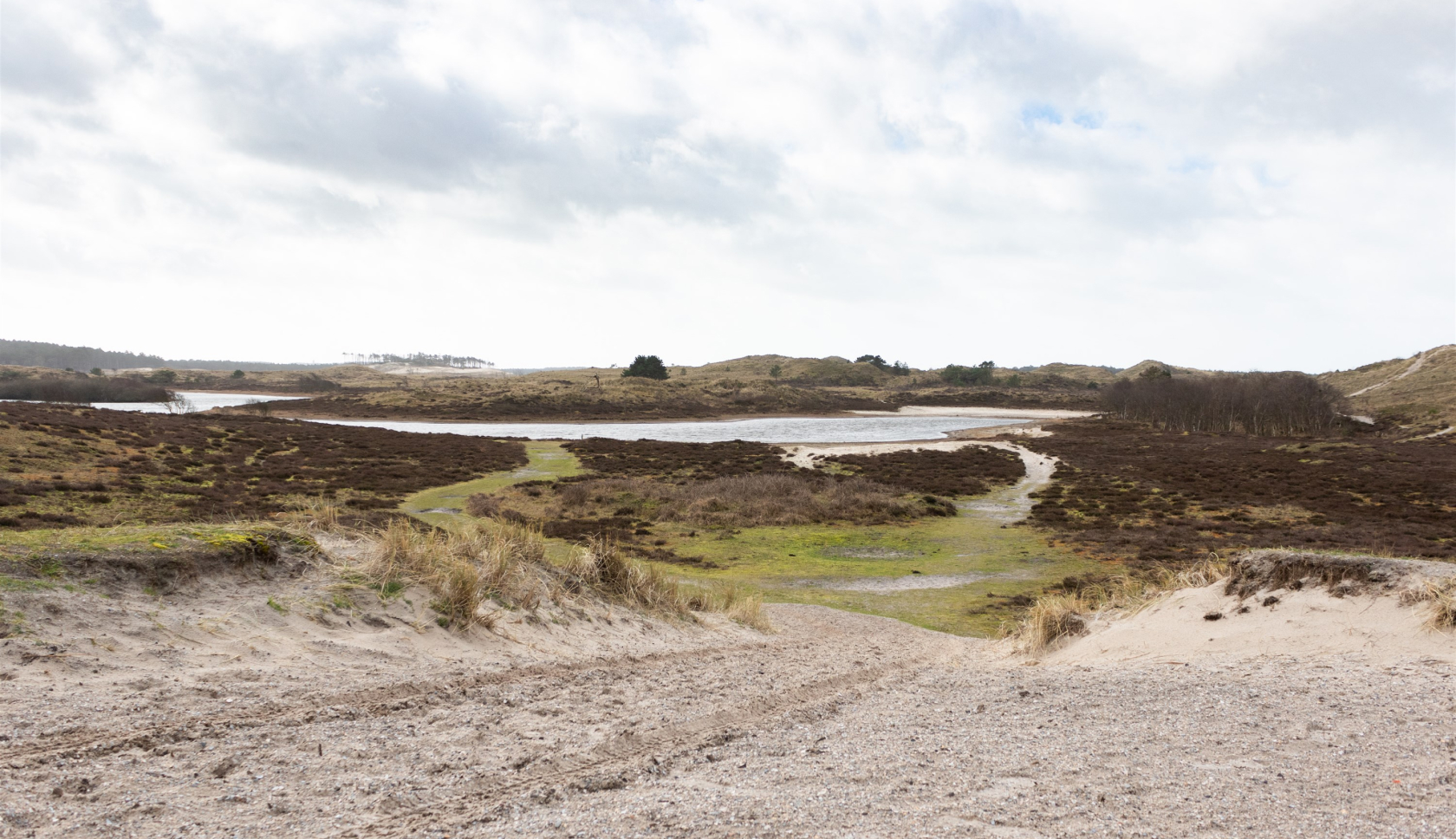 Boswachterspad Stuifduinentocht
