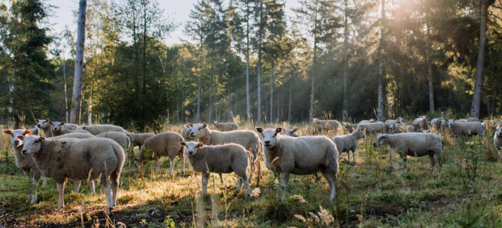 10 unieke wandelroutes die je deze zomer wilt lopen