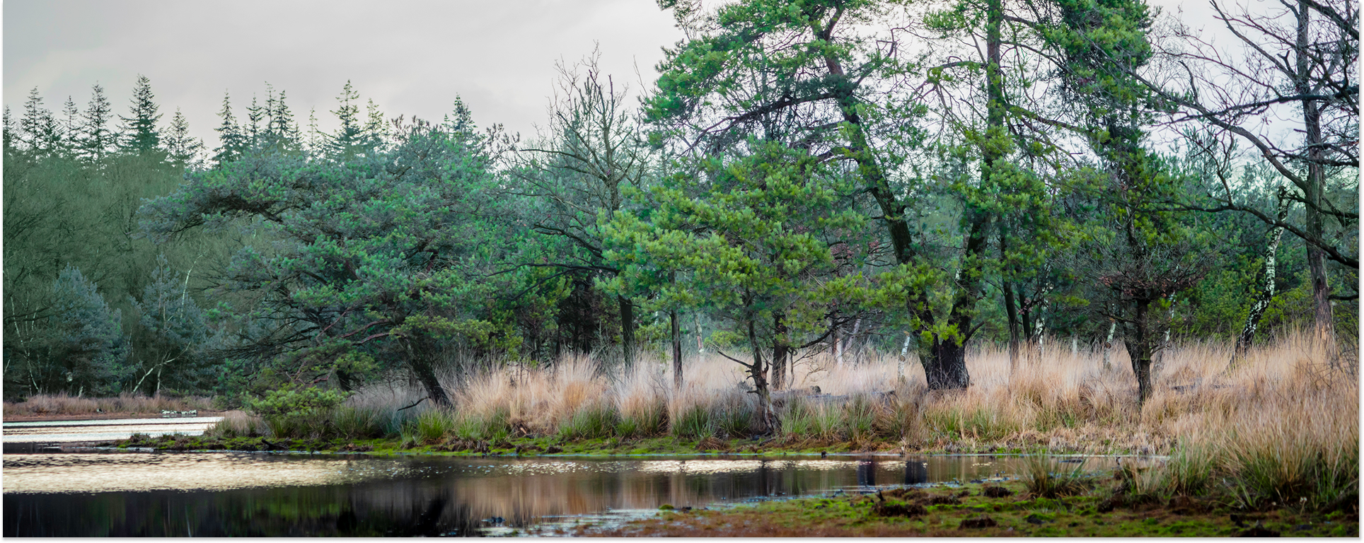 Bijzondere wandelroutes in Nederland: de mooiste wandelingen per provincie