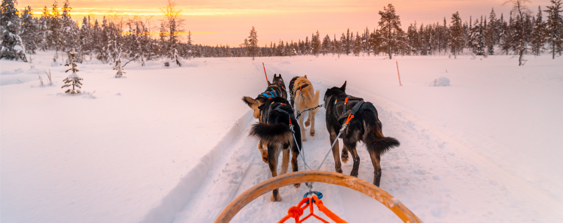 Paklijst Lapland: wat neem je mee naar winters Lapland?